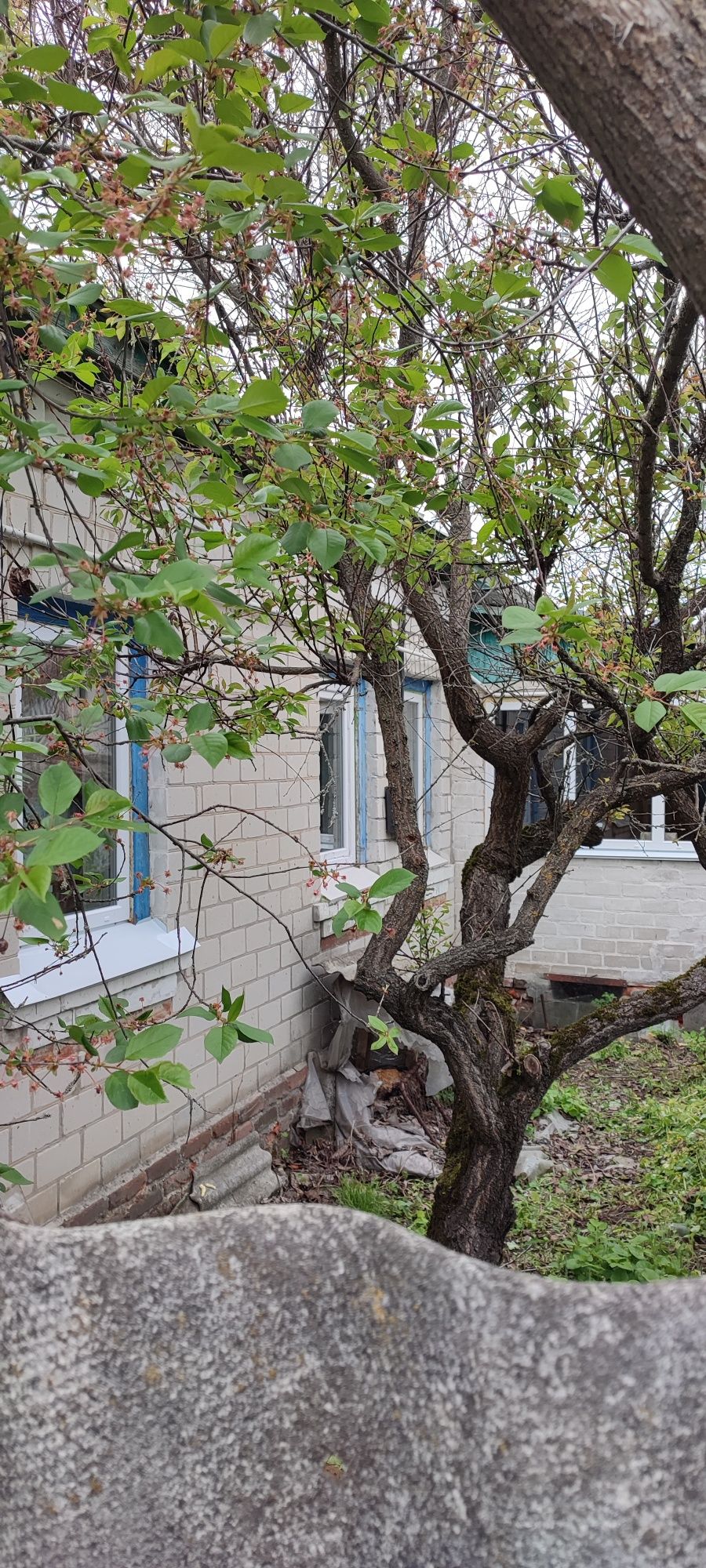 Будинок з усіма зручностями в С. Слобода