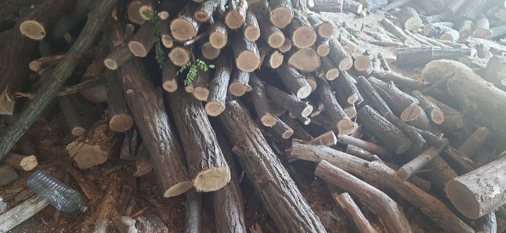 Дрова паливні акація дуб