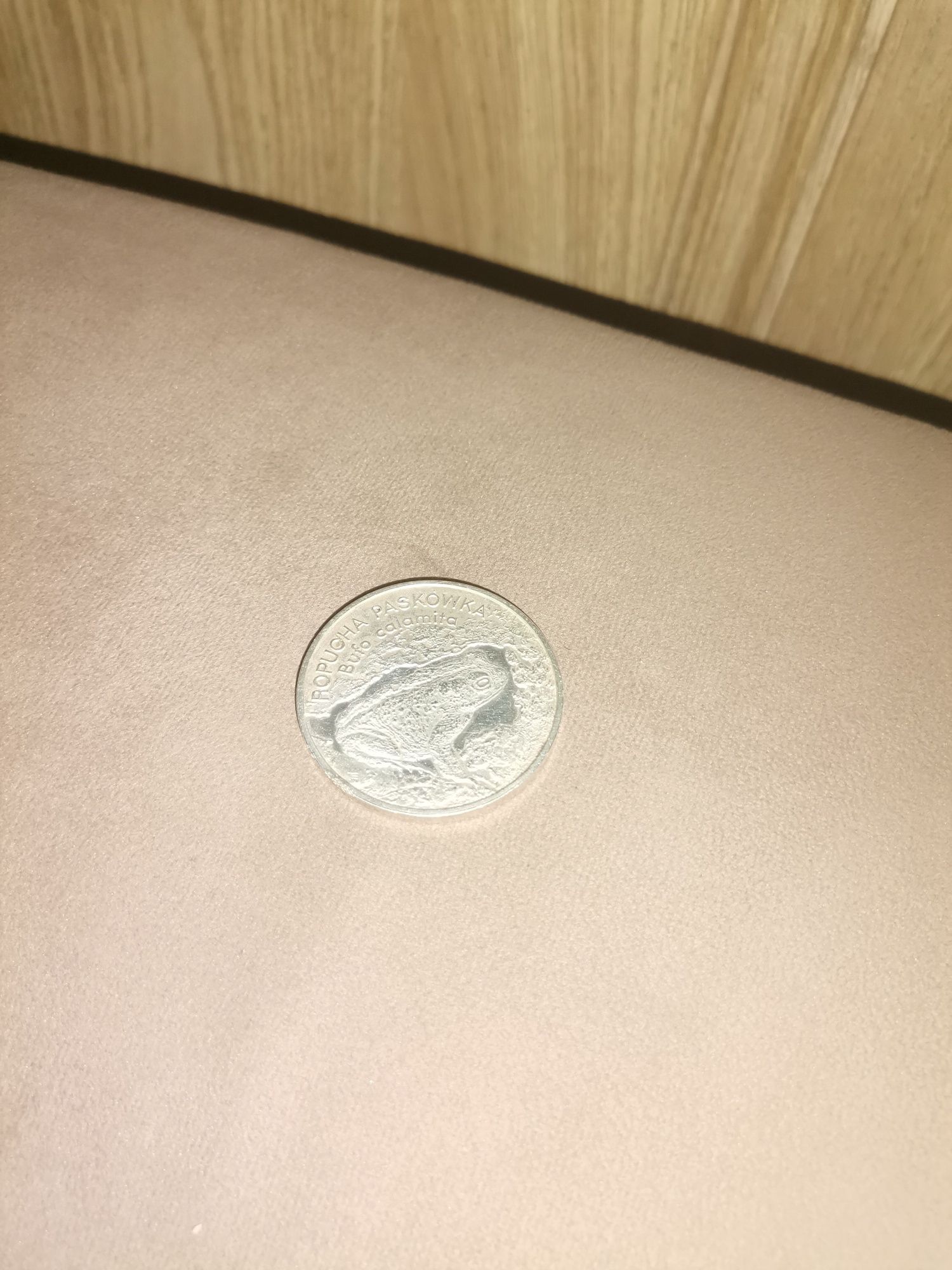 Srebrna moneta 20 złotych Ropucha paskówka