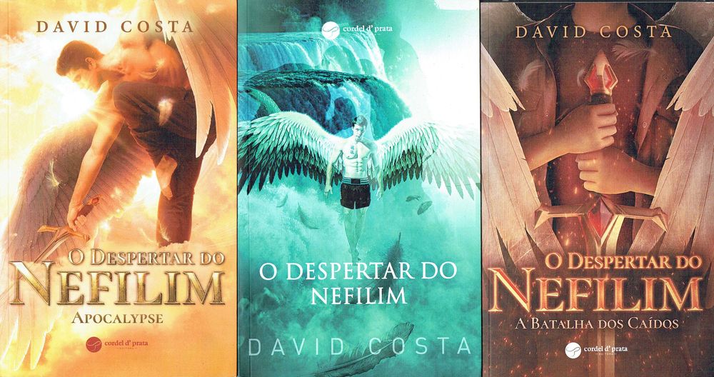 15506

Trilogia O Despertar do Nefilim - 3 Vols
de David Costa