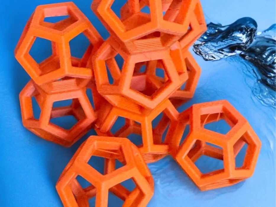 Parque de Diversões para Camarões (Shrimp Playground)