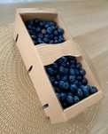 Łubianka 1 kg karton, PRODUCENT, wysyłka