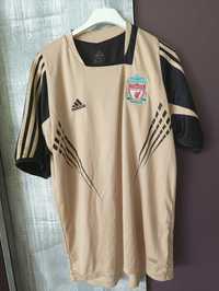 Koszulka piłkarska Liverpool 2008/09 treningowa M adidas 08/09