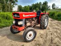MASSEY FERGUSON MF 158V 58KM, sadowniczy/ 135/ 255