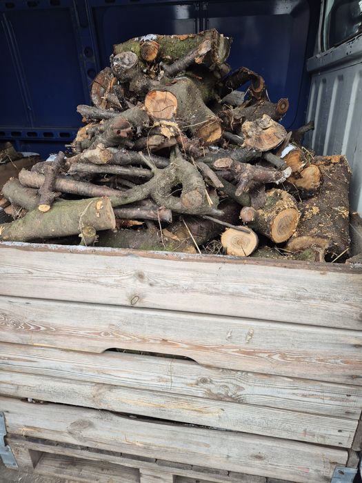 Drzewo opałowo kominkowe