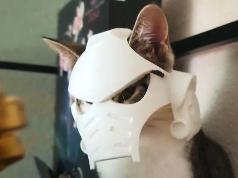 Capacete Espacial para Gatos - Edição Especial