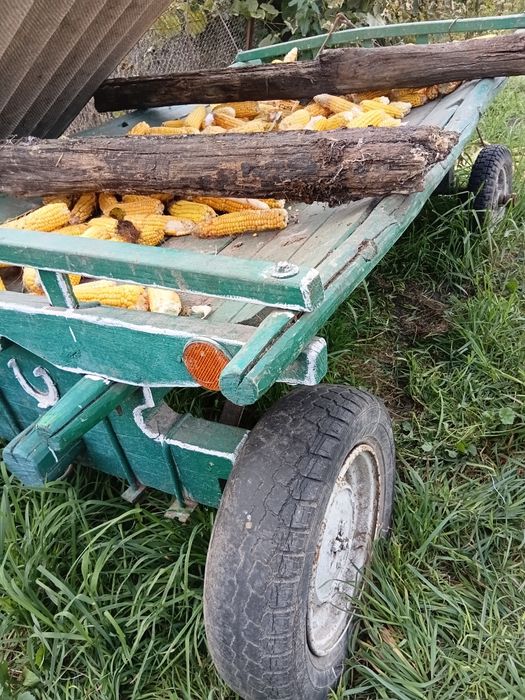 Продам віз для коня.