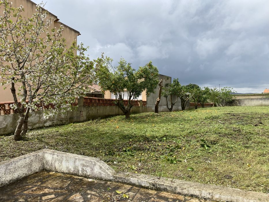 Limpezas de terrenos com roçadora e abate de árvores