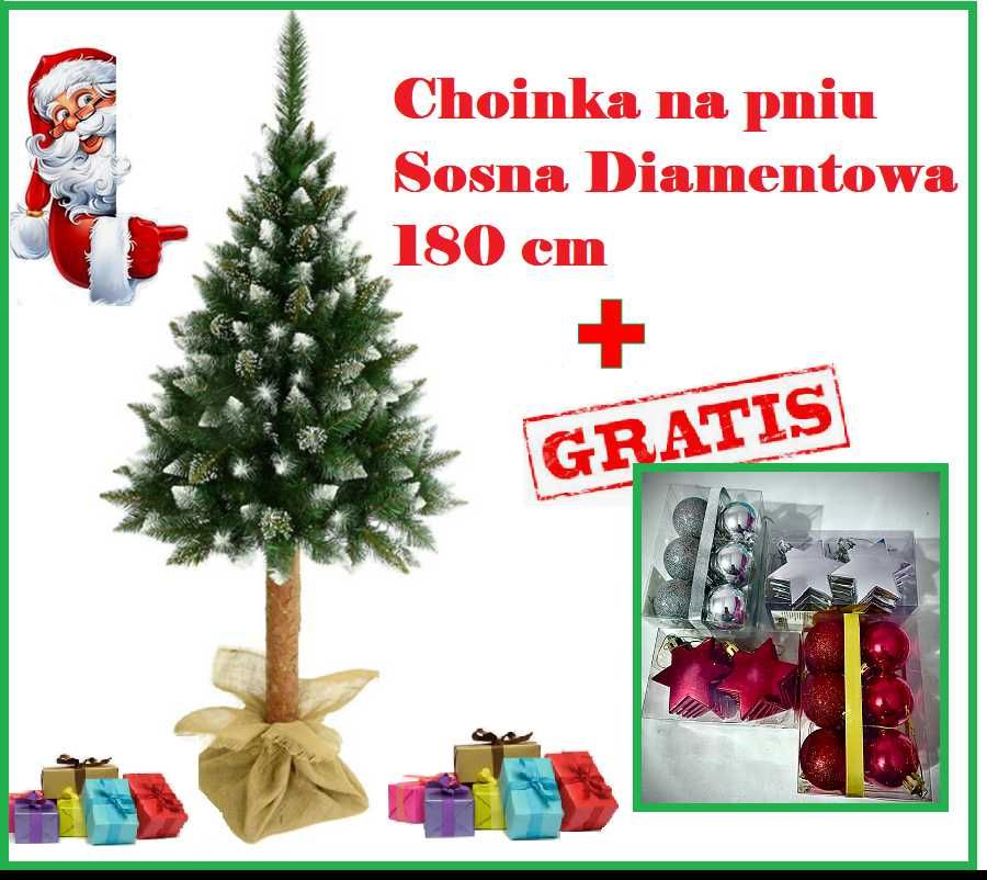 CHOINKA NA PNIU Sosna Diamentowa 180 cm !!! + ozdoby gratis!