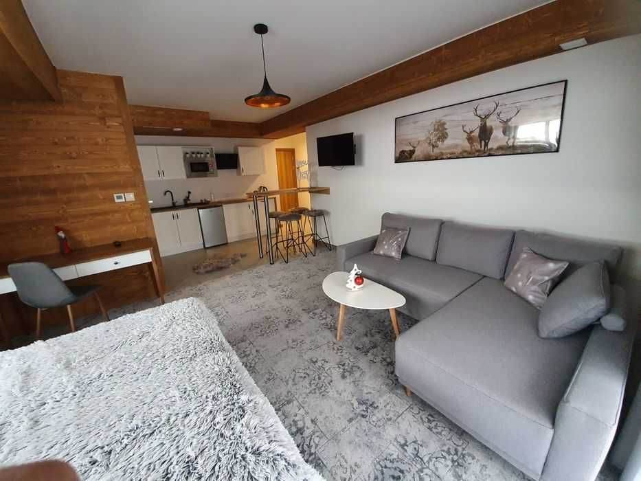 Zakopane, Apartamenty, Noclegi, Domki,Weekend, Wakacje