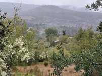 Terreno  para venda