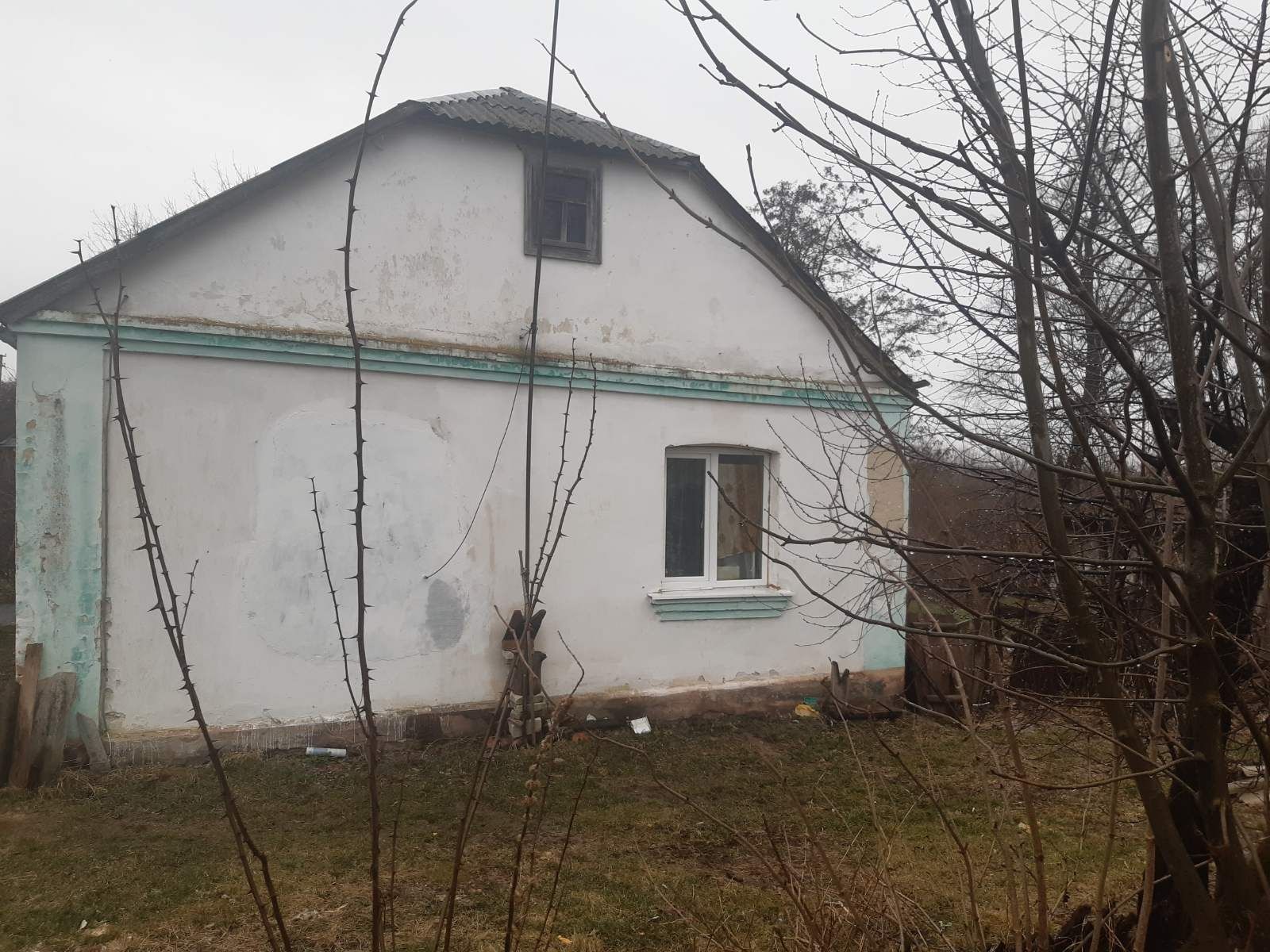 Будинок в селі біля річки