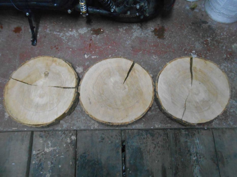 Plaster drewna jesion, blat średnica 30 do 38 cm
