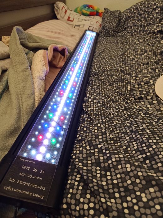 Lampada aquario plantados