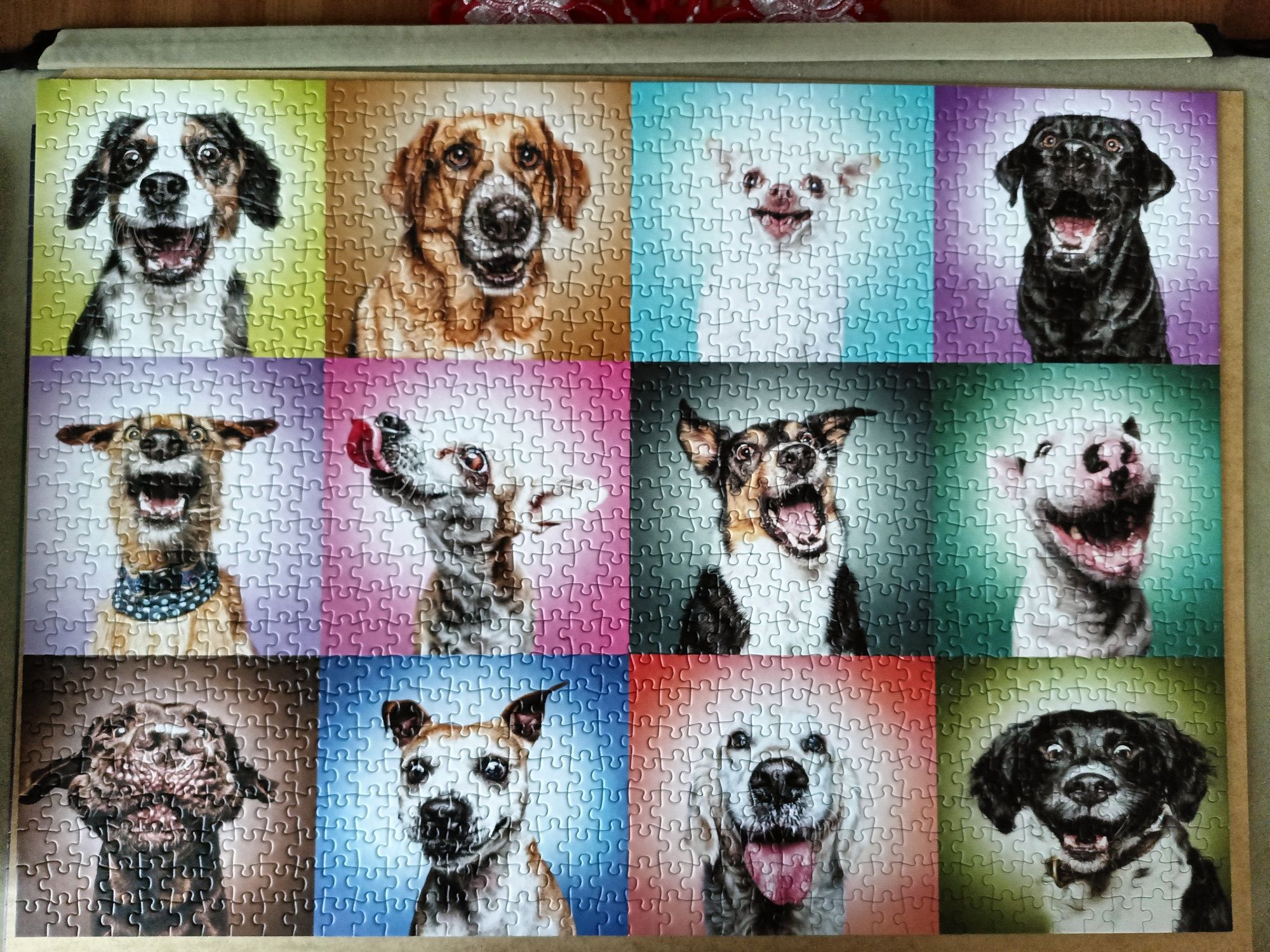 Puzzle Trefl Psy 1000