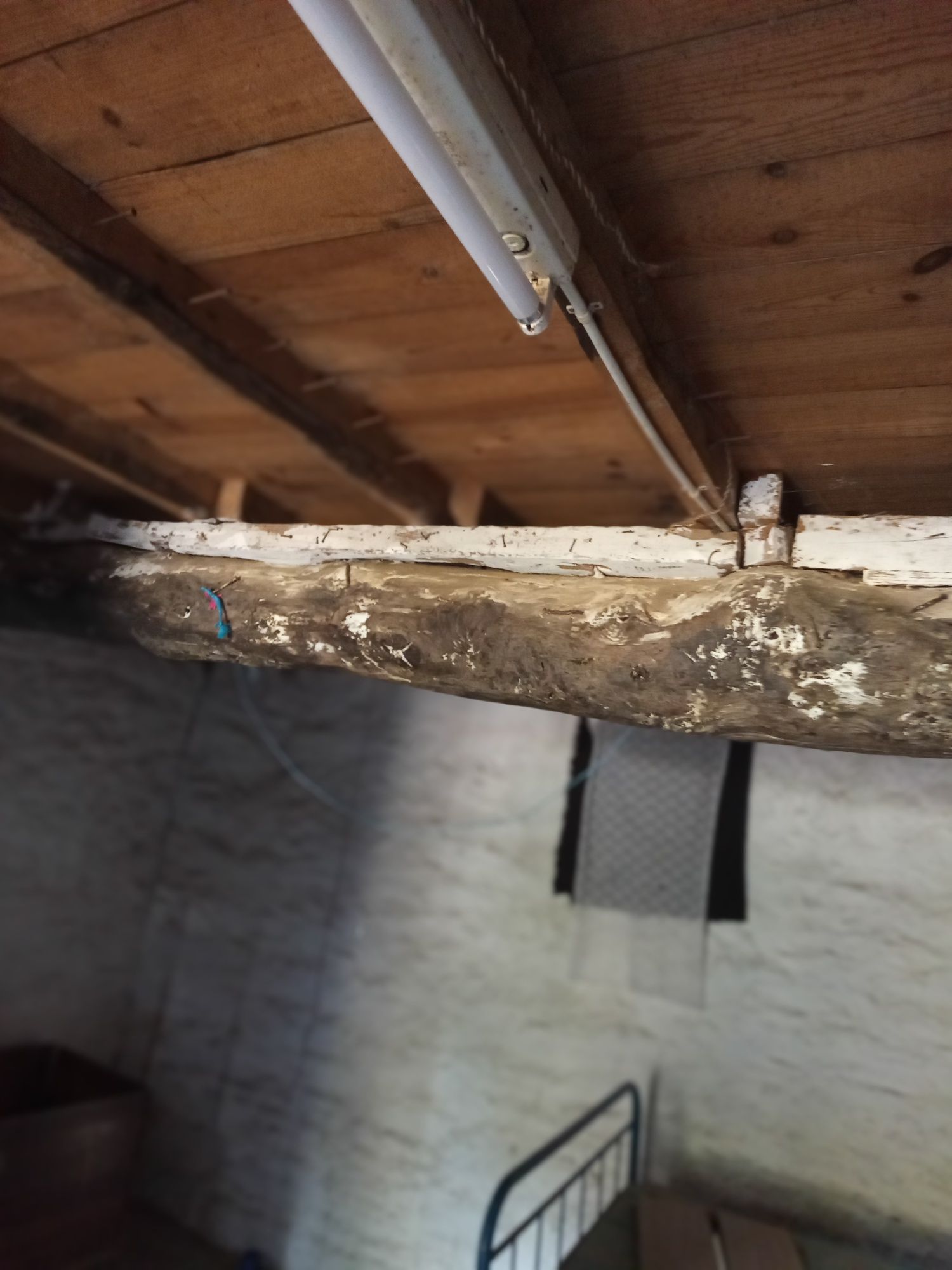 Casa de habitação em sequeiros Moncorvo