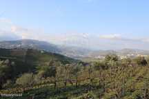 Terreno  para venda