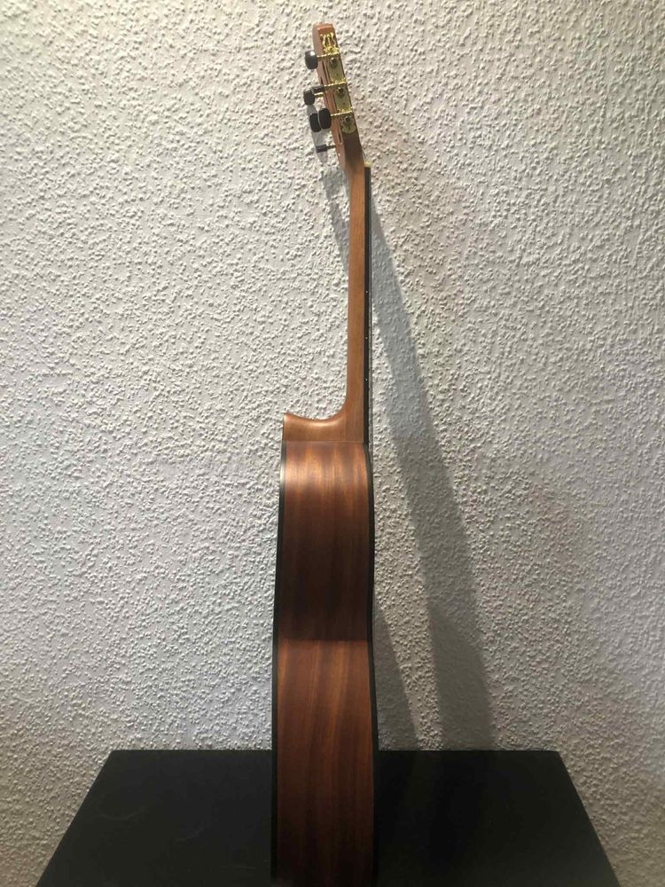 Gitara Salvador cs-244