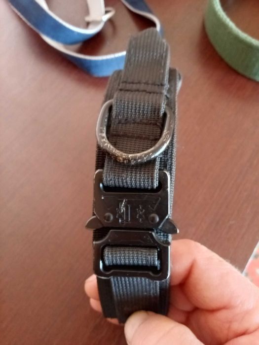 Нашийник для собаки і  шлейка