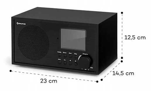 Radio DAB+, FM, internetowe Auna Silver Star Mini Two + GŁOŚNIK