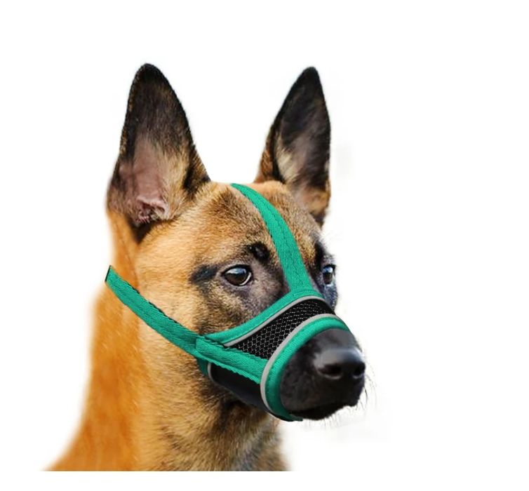 YAODHAOD, kaganiec dla średniego psa, super miękki kaganiec nylonowy z