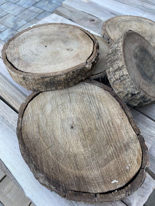 Plastry drewna orzech włoski suche