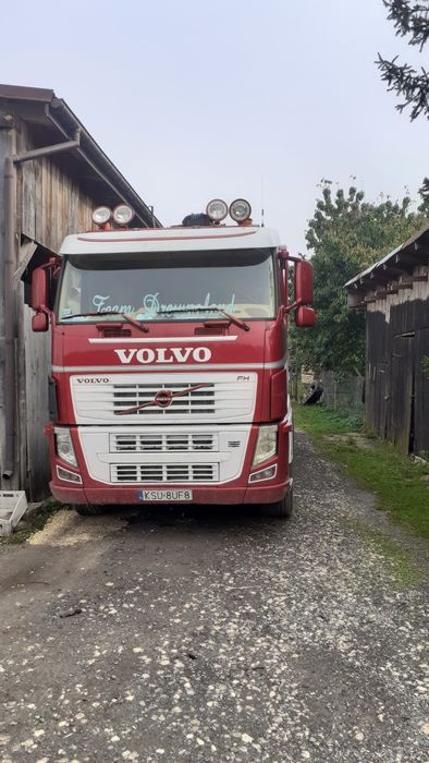 Volvo fh13 480 drewna drzewa lasu