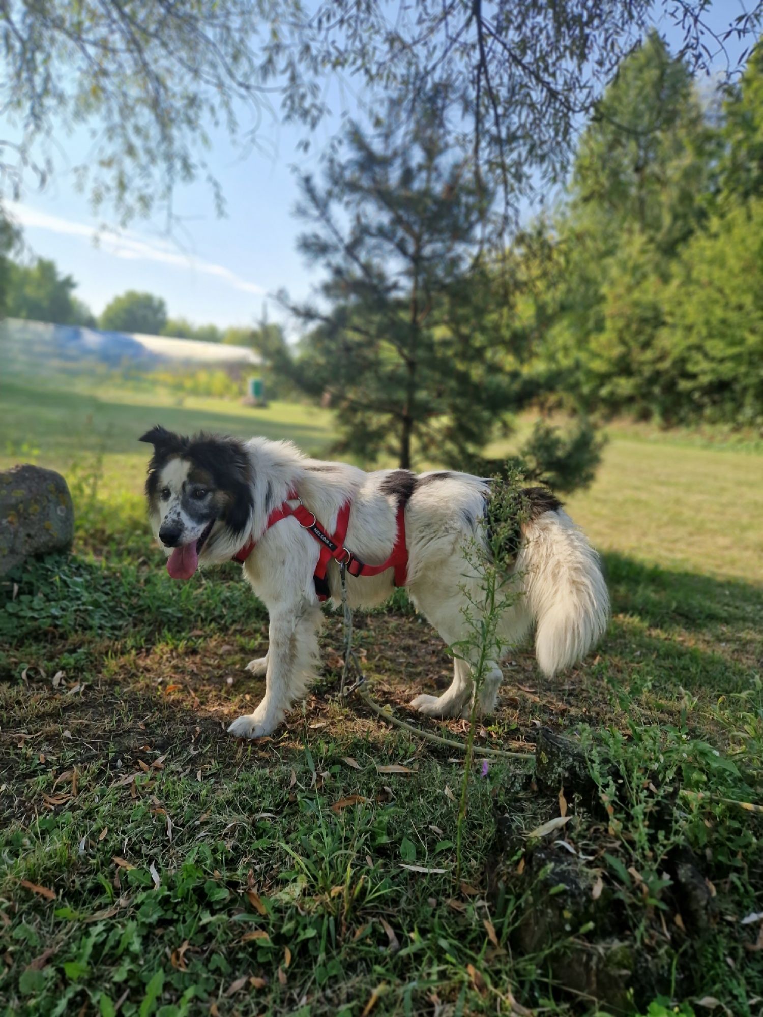 Niewidzialny. Nikomu się nie podoba nikt go nie chce.