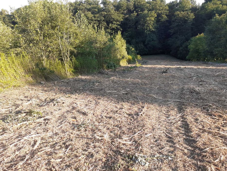 Czyszczenie działek mulczer leśny koszenie haszczy rekultywacja