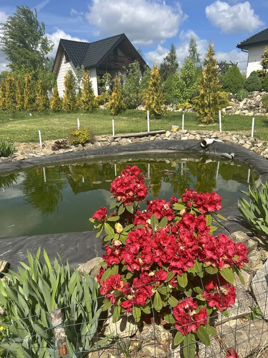 Domek caloroczny sw.Katarzyna/Krajno