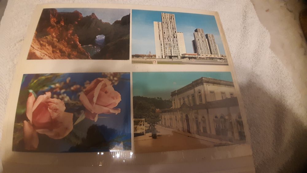 Vendo postais ilustrados para colecionadores  a muito bom preço.