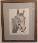 Quadro pintura desenho de cavalo