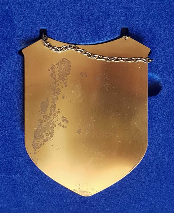 Ryngraf 1 Pułk Ułanów replika