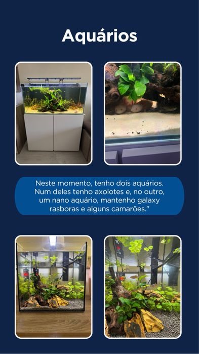 Aquarios tudo sobre