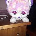 Peluche cão que faz barulho com pilhas