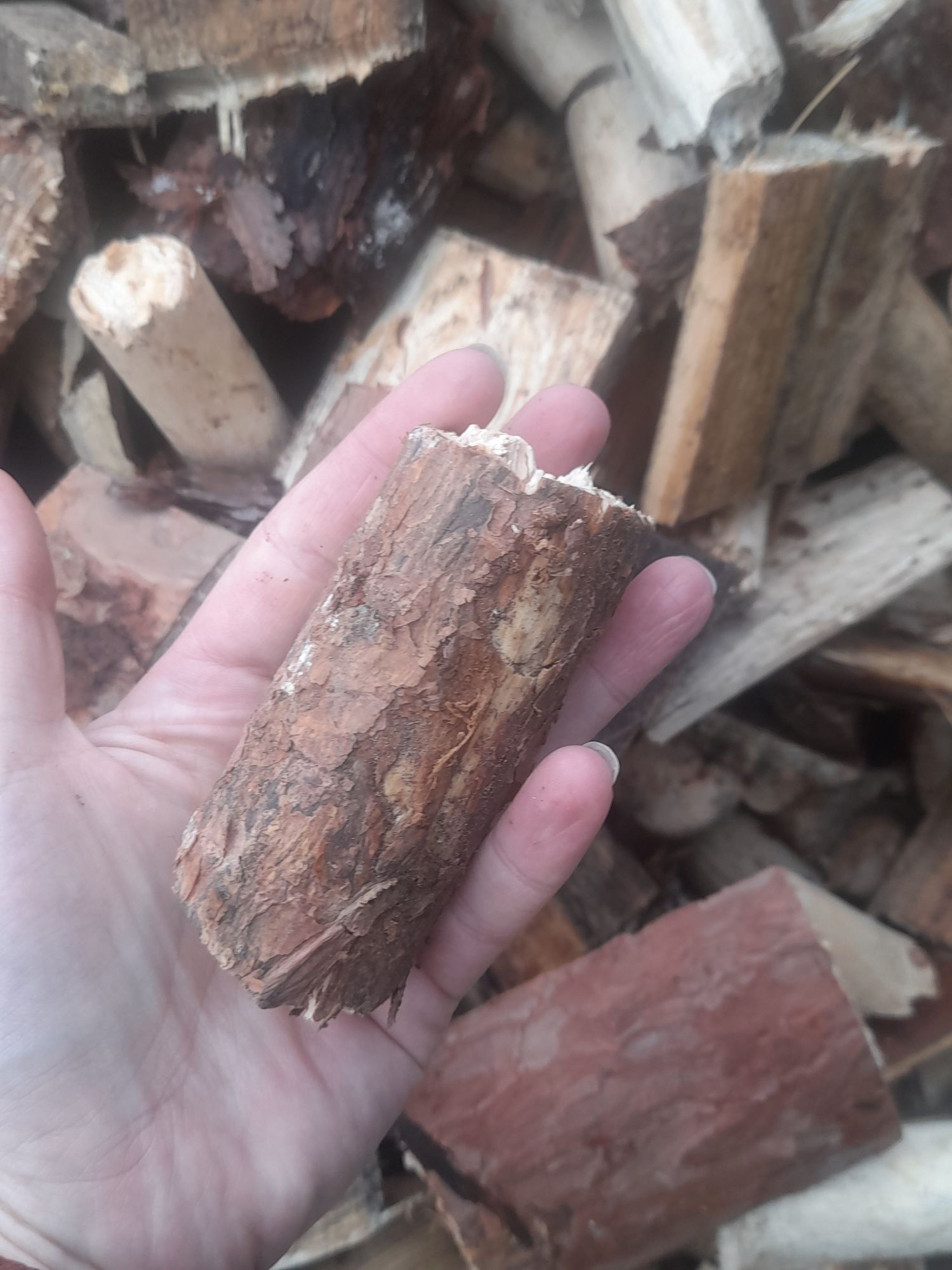 Drewno opałowe gałęziówka sosna