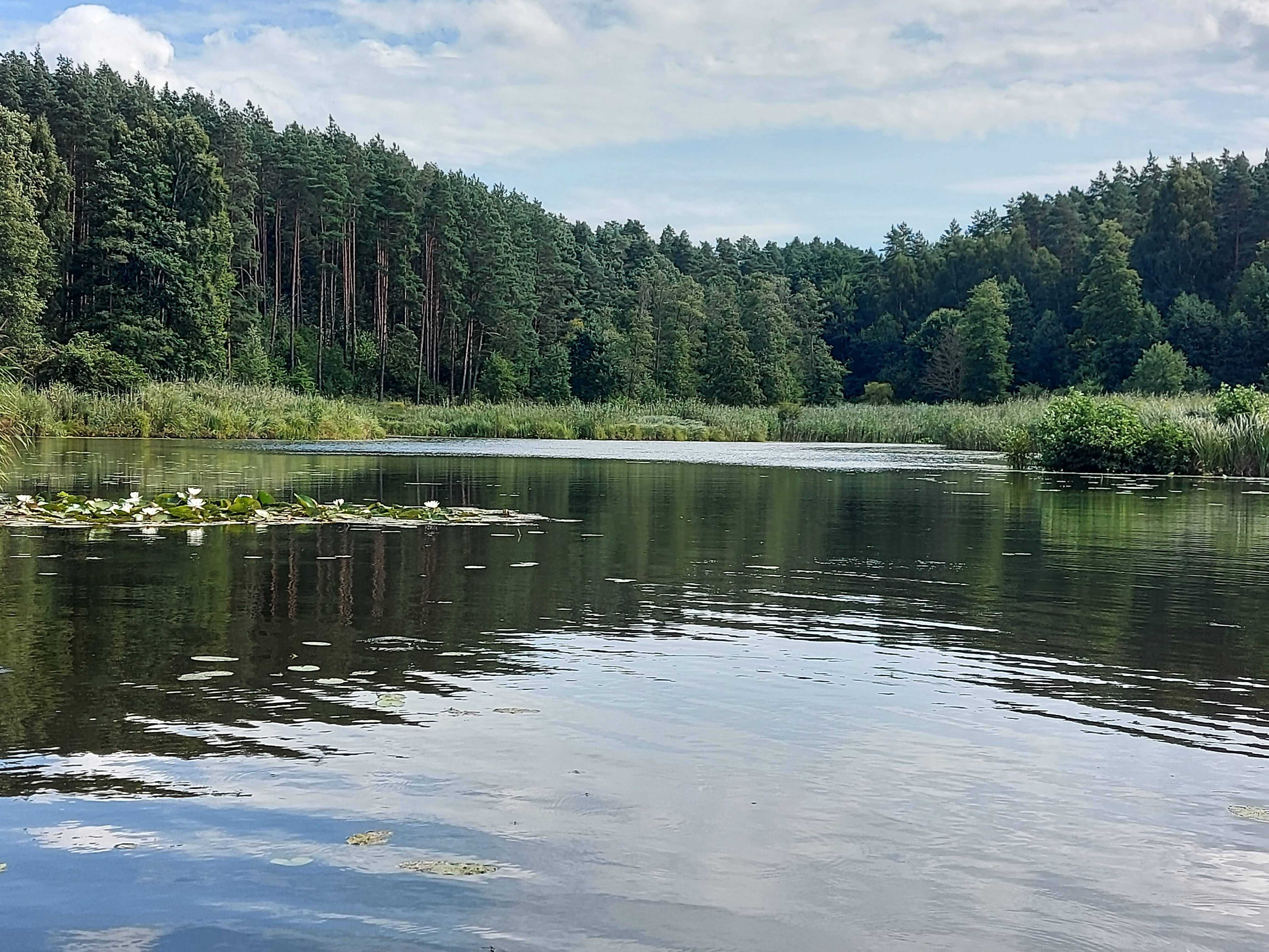 Domek nad jeziorem własna linia brzegowa, pomost, łódka , rower wodny