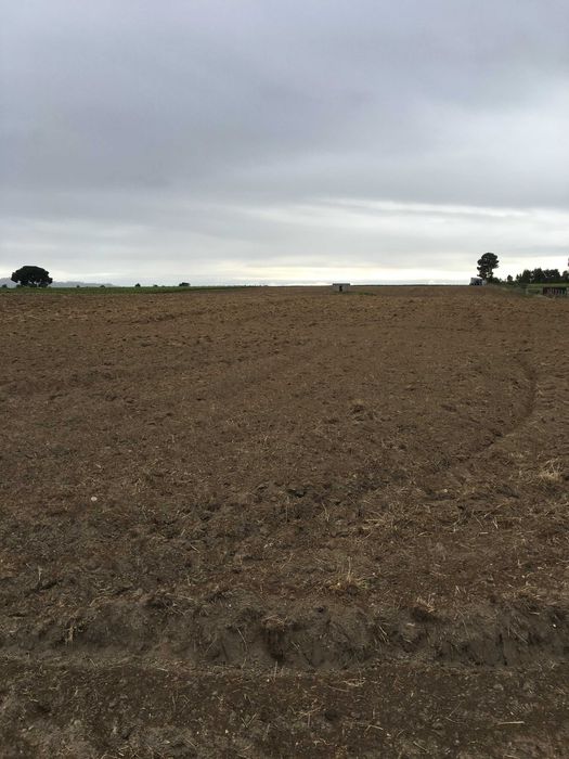 vendo terreno e casa  ecologica em palmela com projecto approvado
