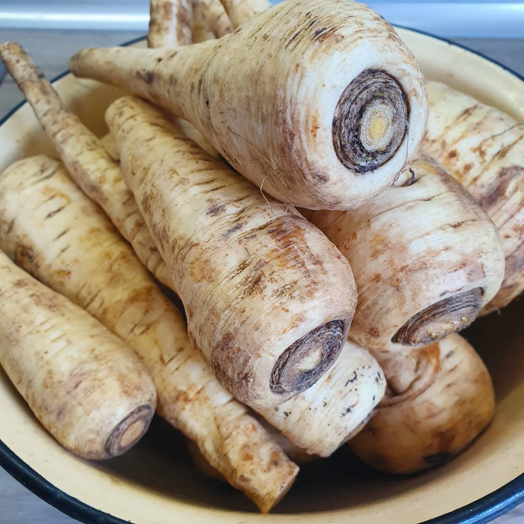 Пастернак корінь сушений