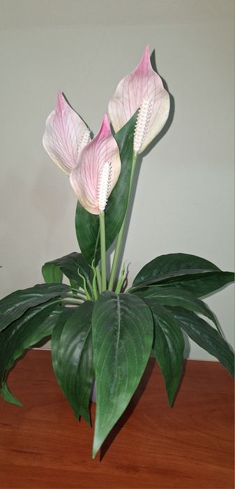 Sztuczny kwiat skrzydłokwiat mini 41 cm