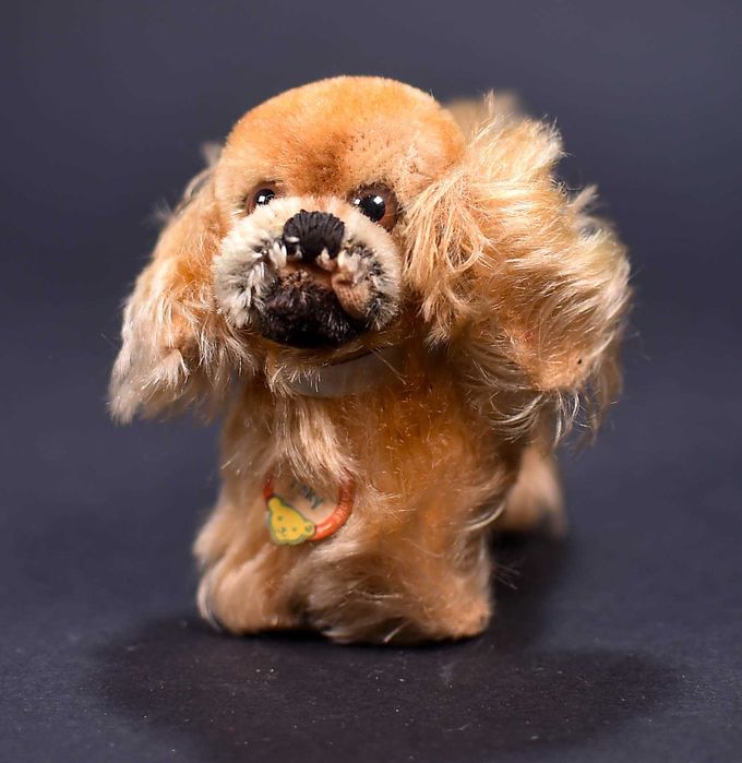 Steiff # Steiff Peky Pekinese Dog 1960s 11cm