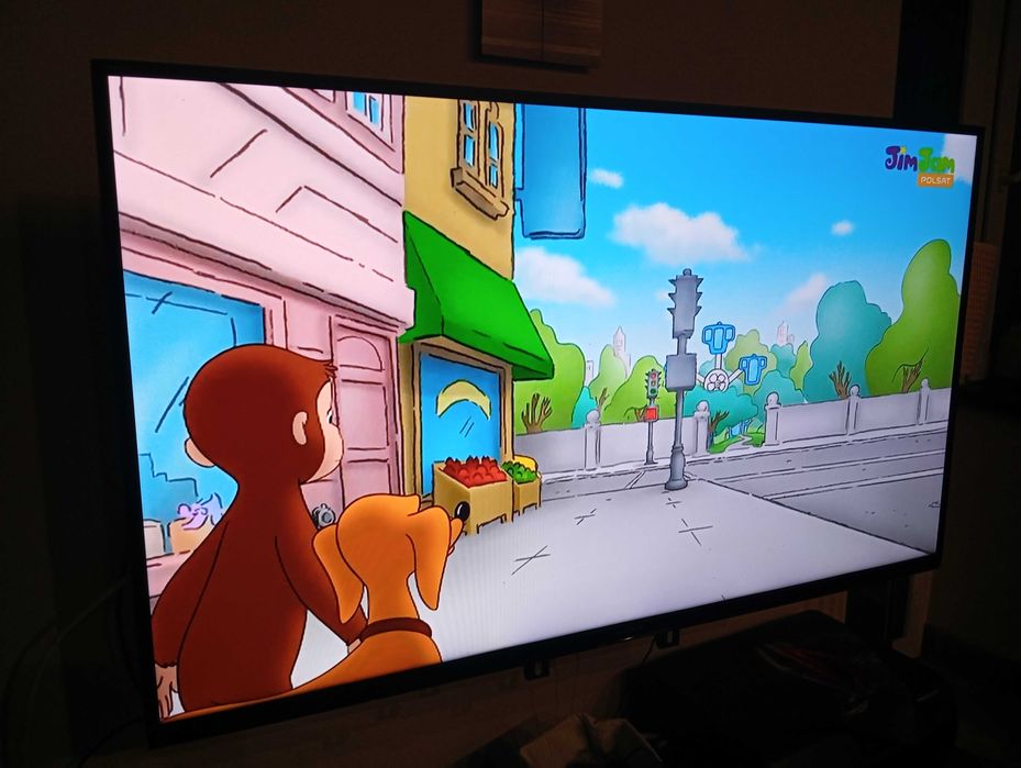 Telewizor SONY 49 cali