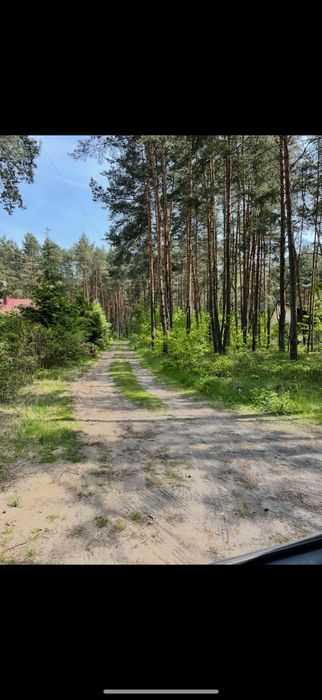 Działka budowlana Masłońskie