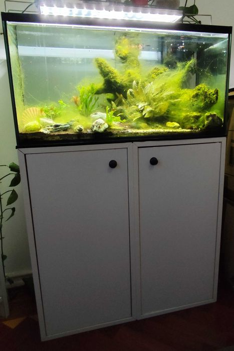 Aquário 70L - 70x35x30