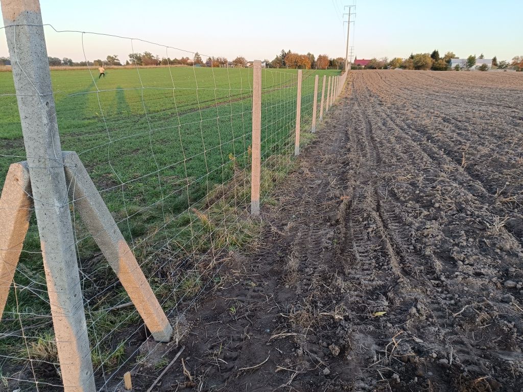 Ogrodzenie tymczasowe siadka leśna słupek betonowy drewniany