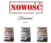 Węgiel Groszek Ogień Premium