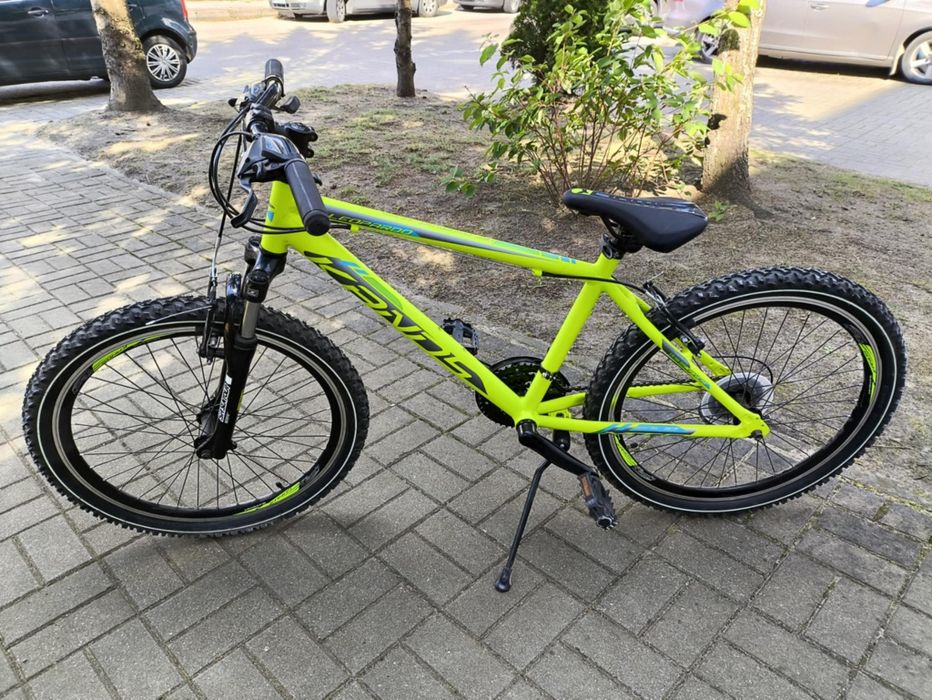 Rower Kands Leopardo 24 cale - nowy