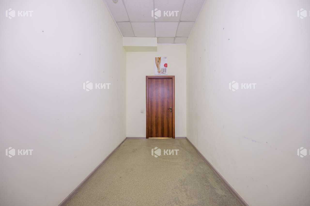 Офис 140м2 Центр ( м. Майдан Конституции, ул. Сумская 13) 128741