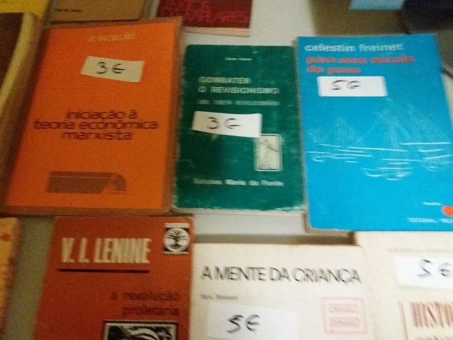 Vendo lote de 16 livros diversos temas