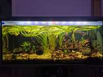 Akwarium 240l pełen zestaw